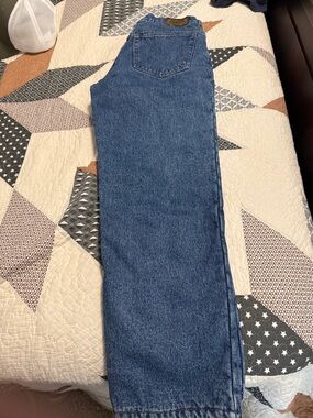 Cabela’s Men's Blue Thinsulate Jeans 30x30